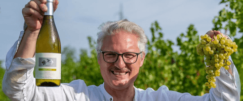 Affordable Dry White Wines Under $500 MXN That Overdeliver