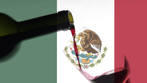 Discover the Mexican Wine Regions