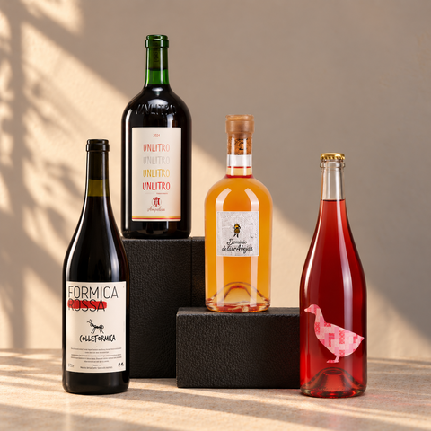 Natural Wine Starter Pack