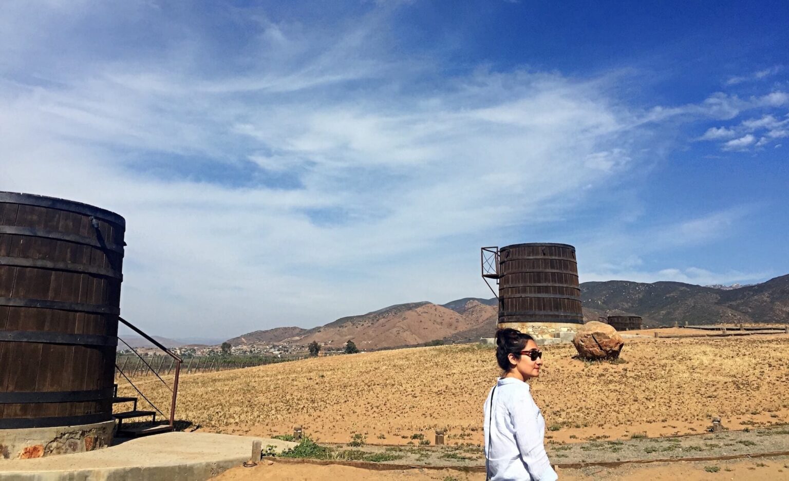 Discover the Mexican Wine Regions Uncork Mexico