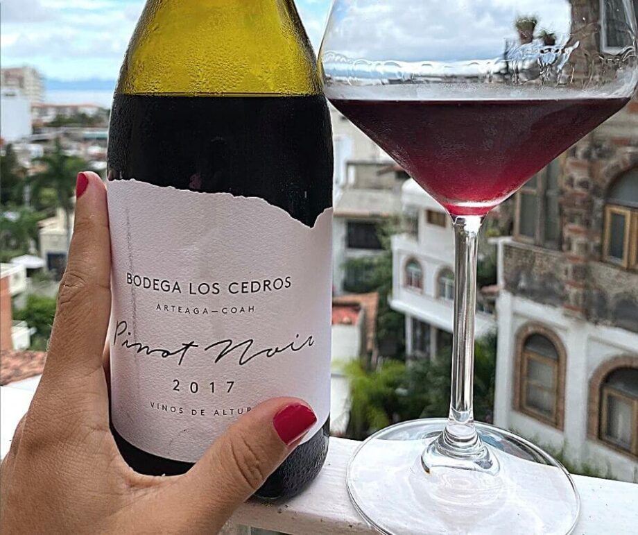 12 surprising facts about Mexican wines Uncork Mexico