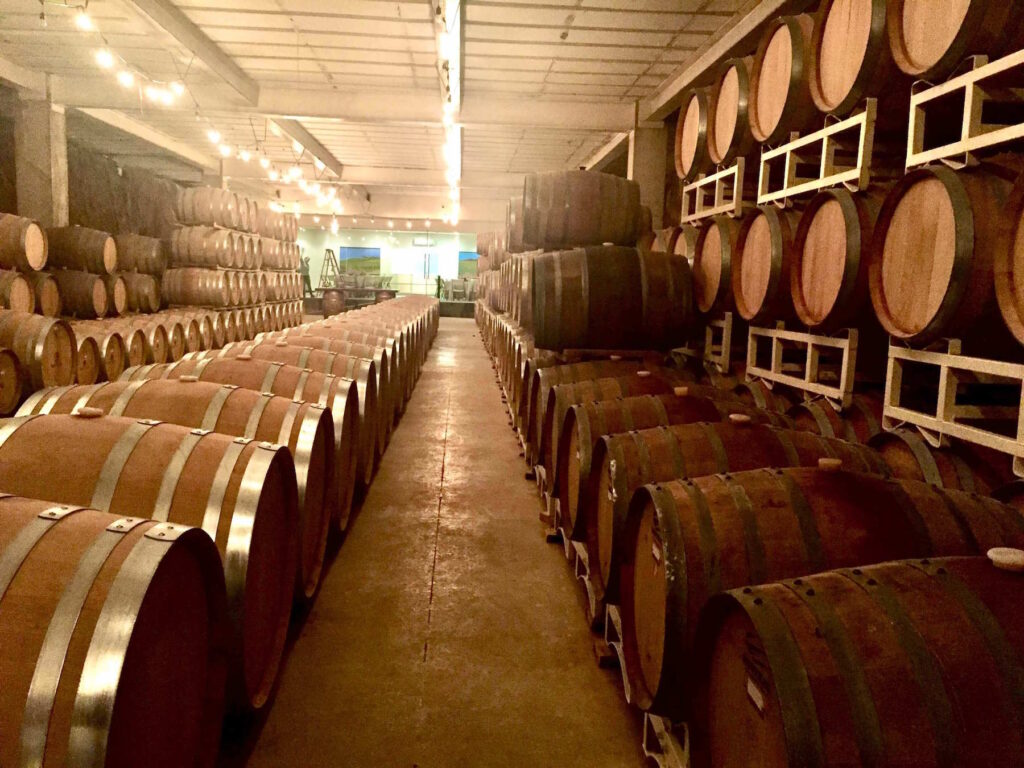 factores que influencian los precios de los vinos mexicanos