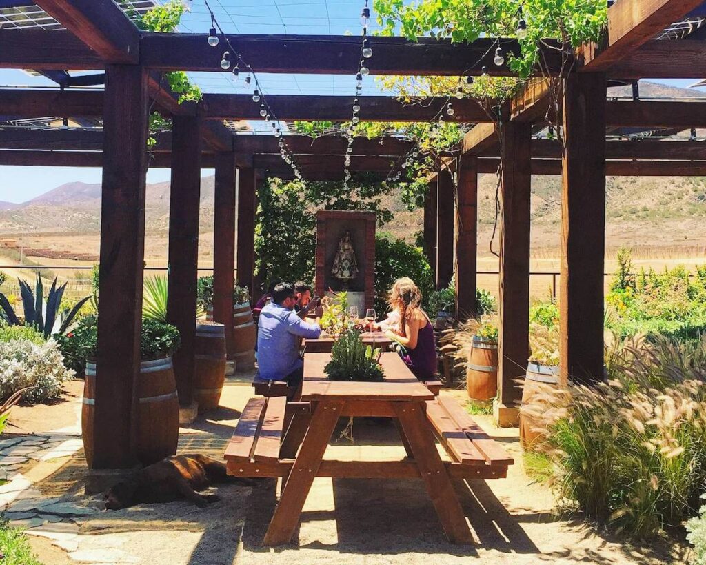 mexican wineries in valle de guadalupe