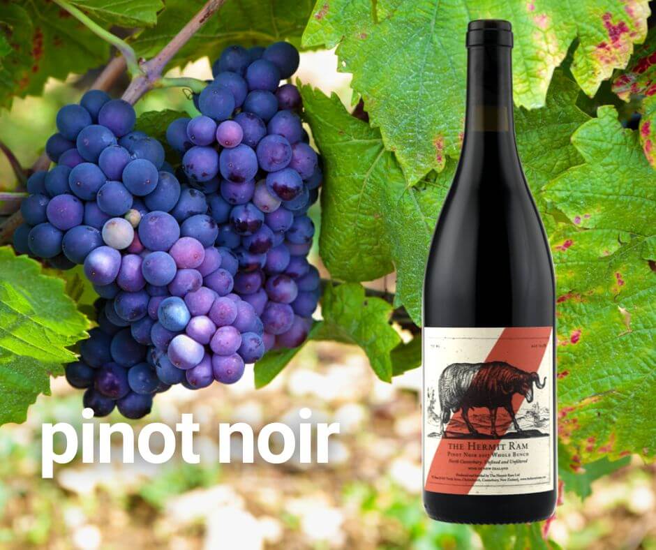 red wines for the fall - pinot noir