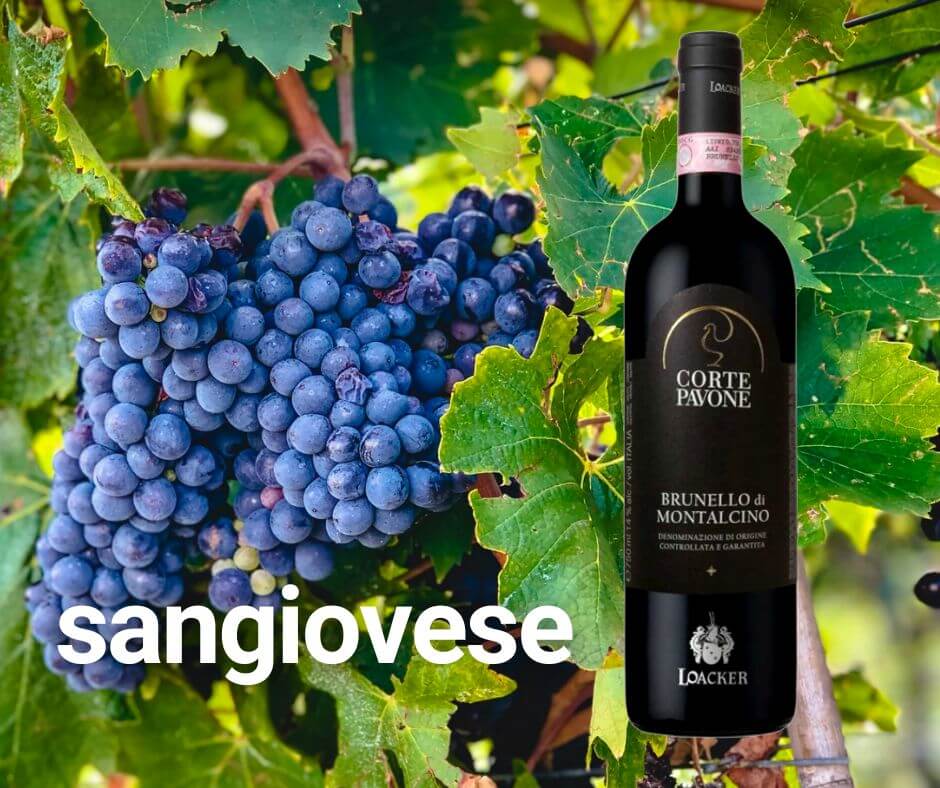 red wines for the fall - sangiovese