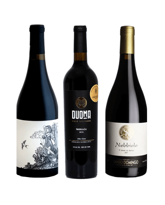Mexican Nebbiolo Wine Pack