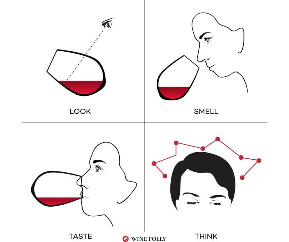 wine drinking tips