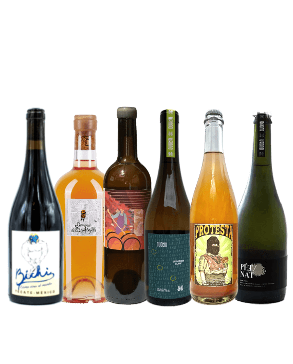 Mexican Natural Wine Discovery Pack