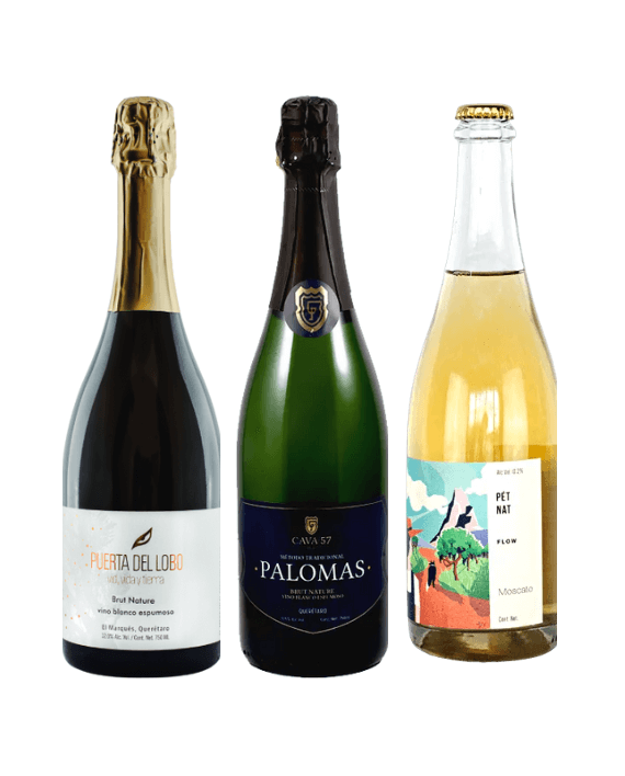 Mexican Sparkling Wines Pack Buy online Uncork Mexico