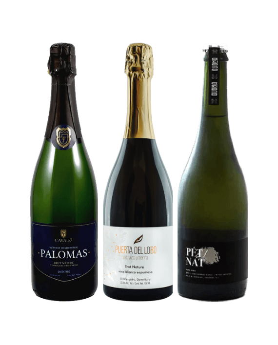 mexican sparkling wines pack