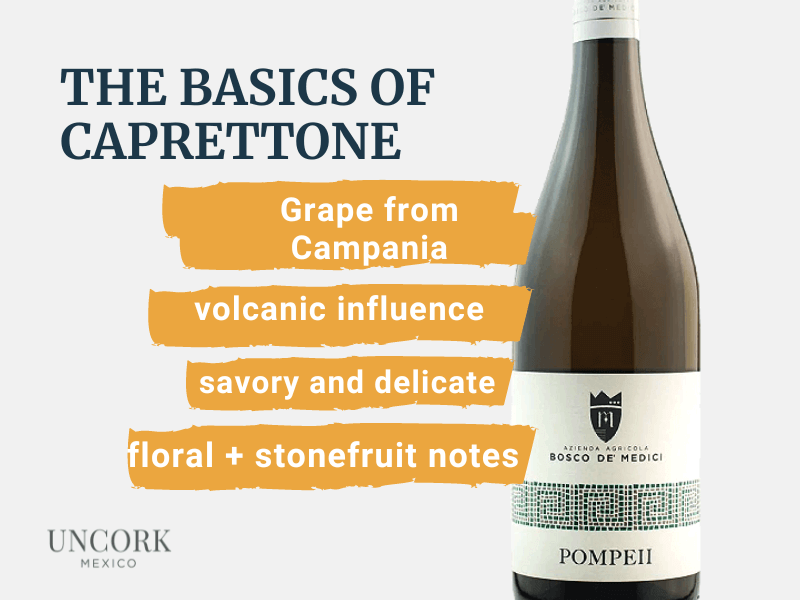 characteristics white wine caprettone