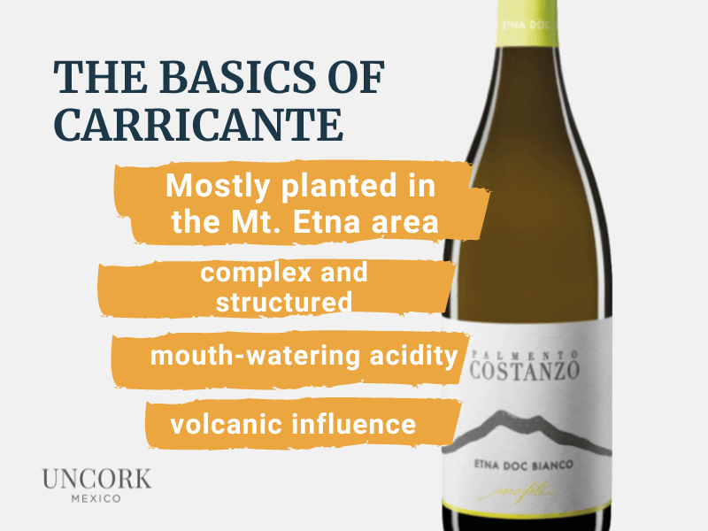 characteristics white wine carricante grape
