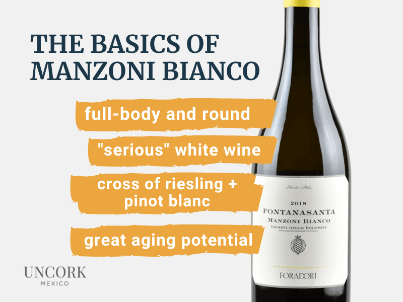 characteristics white wine manzoni bianco grape