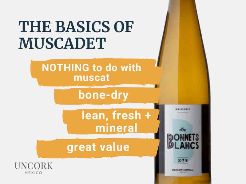 characteristics white wine muscdet grape