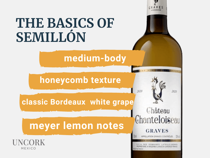 characteristics white wine semillon grape