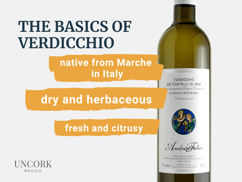 characteristics white wine verdicchio