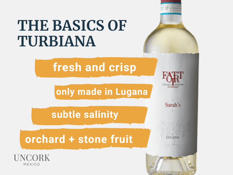 dry white wine fattori sarah's turbiana