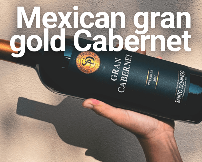 award-winning mexican cabernet sauvignon