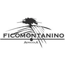 ficomontanino logo