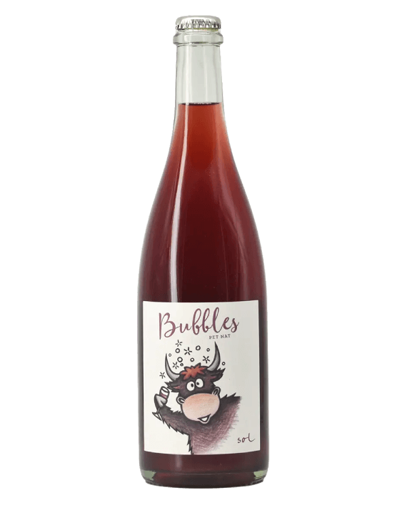 Michael Gindl Bubbles Pet-Nat 2021