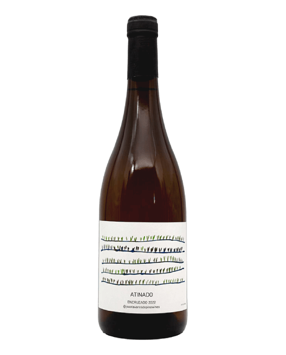 João Tavares de Piña Atinado Encruzado